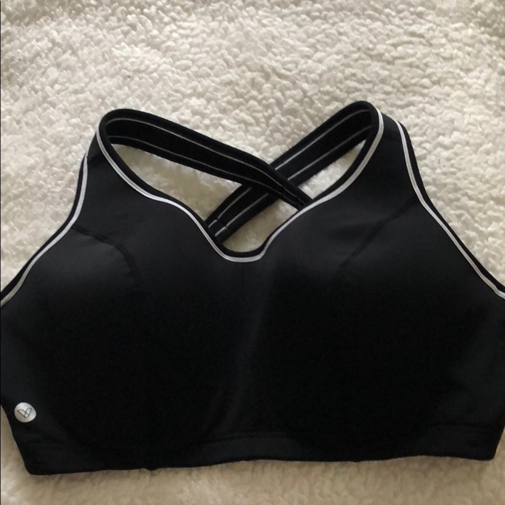 Lane Bryant 38DD sports bra